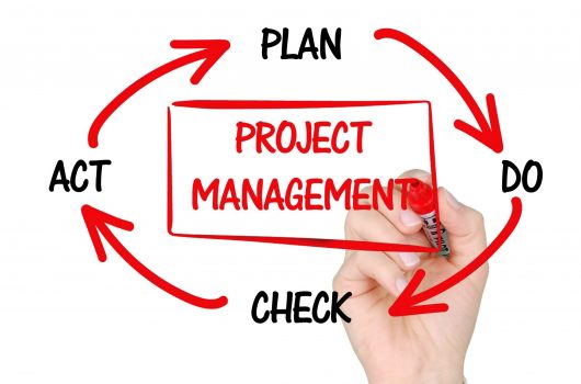 Basiswissen project-management