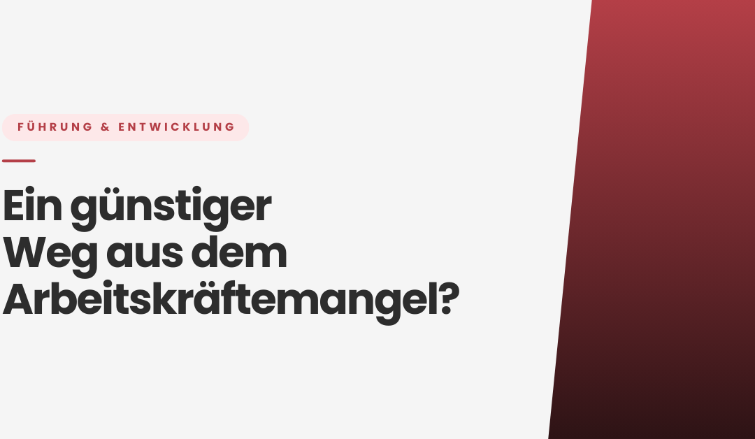 Ein günstiger Weg aus dem Arbeitskräftemangel?