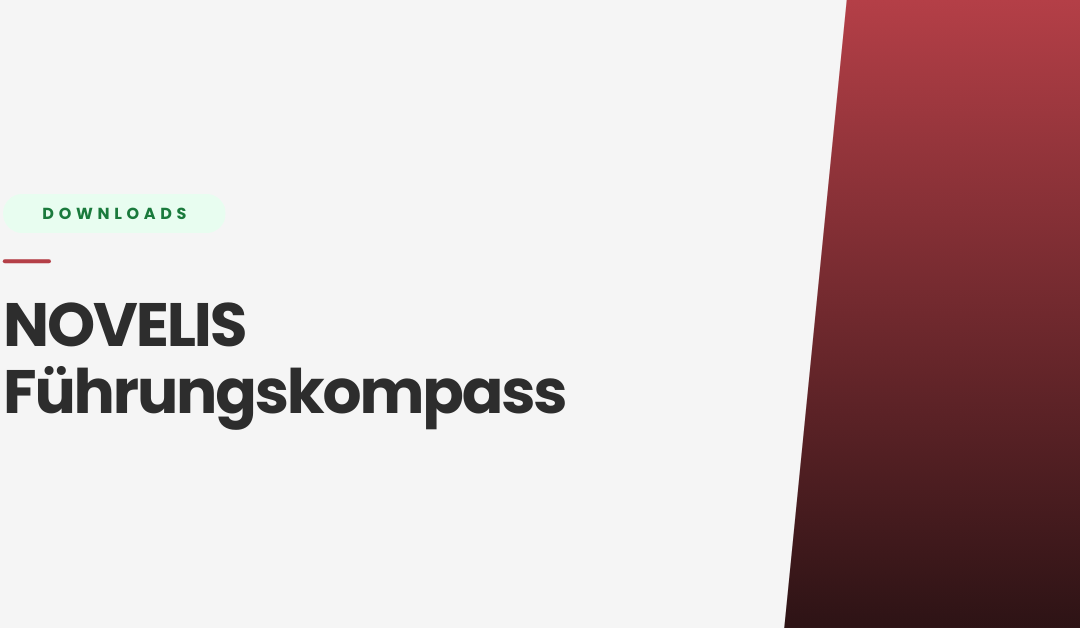 NOVELIS Führungskompass