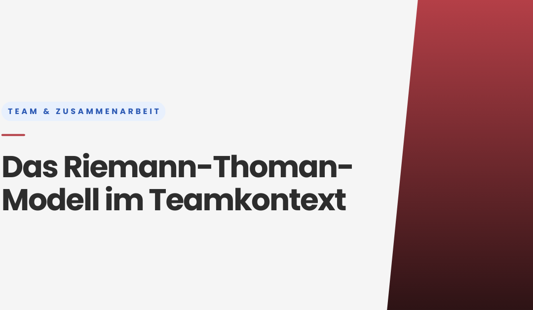 Das Riemann-Thomann-Modell im Teamkontext