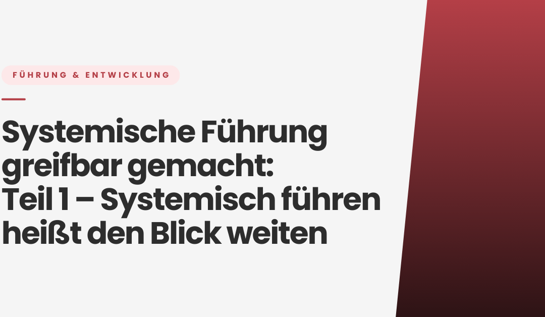 Reihe Systemische Führung greifbar gemacht – Teil 1: Systemisch Führen heißt den Blick weiten